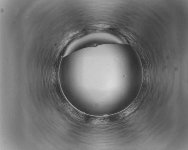 X0000057060568200509091200