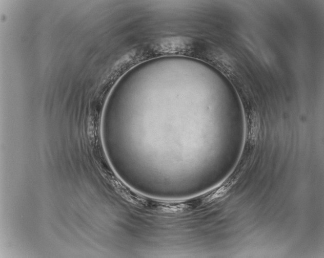 X0000057060569200509091200