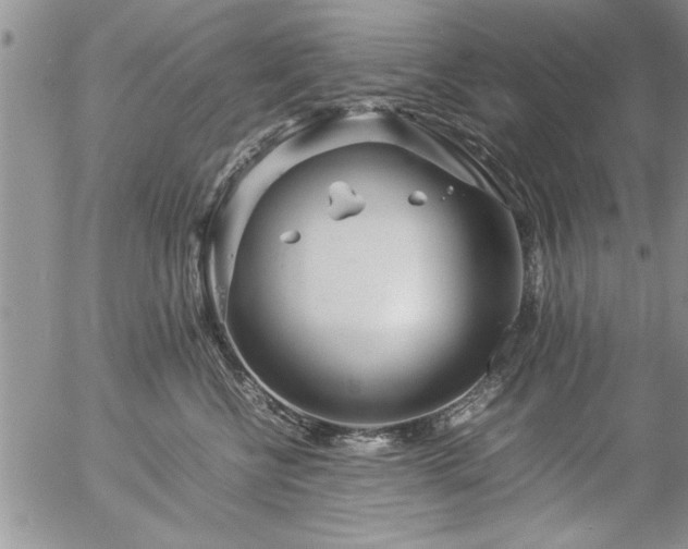 X0000057060570200509091200