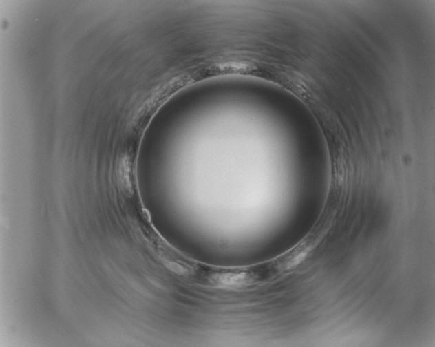 X0000057060575200509091200