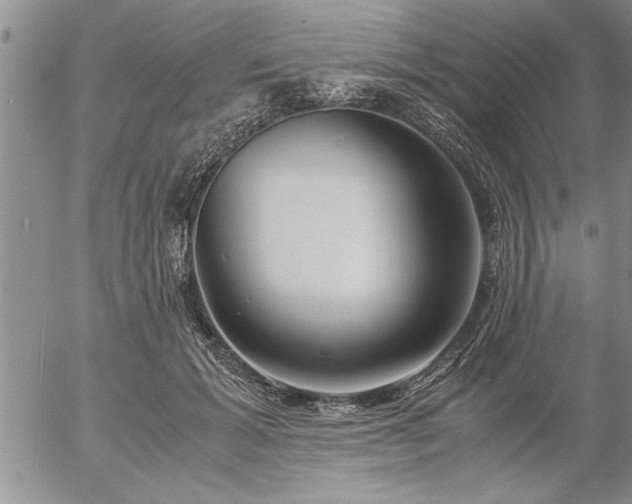 X0000057060605200509091159