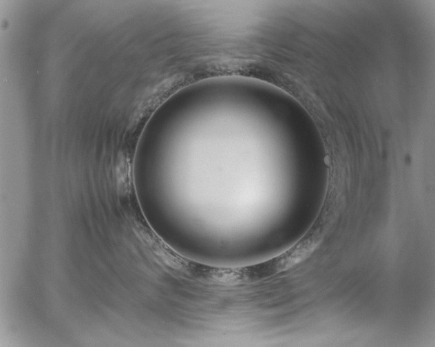 X0000057060624200509091158
