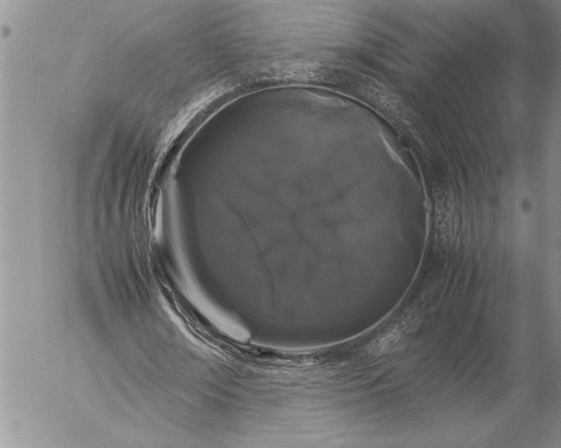X0000057060674200509091157