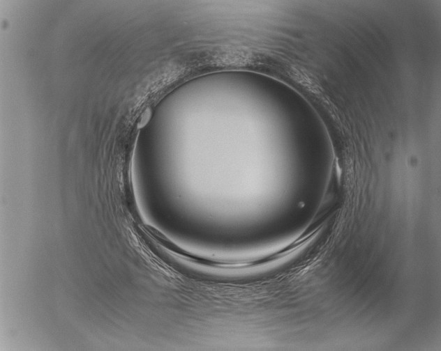 X0000057060681200509091157