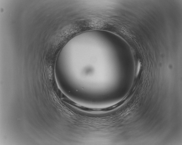 X0000057060689200509091157