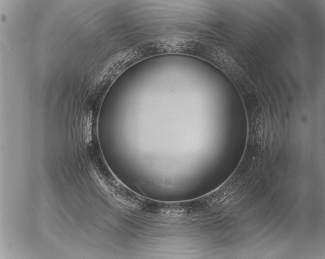X0000057060694200509091157