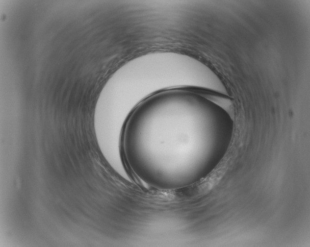 X0000057060768200509091157