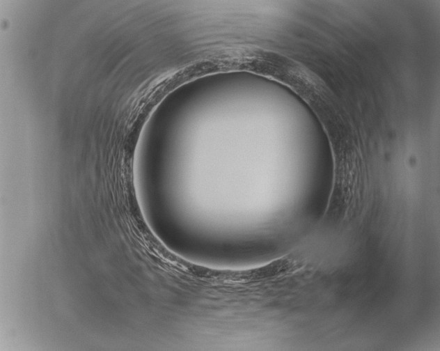 X0000057060773200509091156