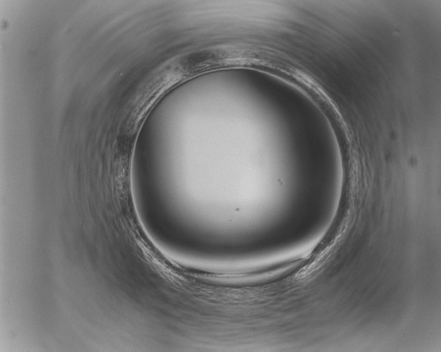 X0000057060801200509091155