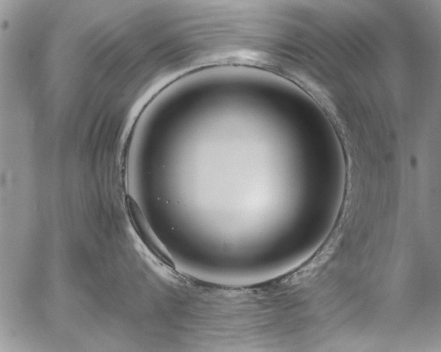 X0000057060816200509091155