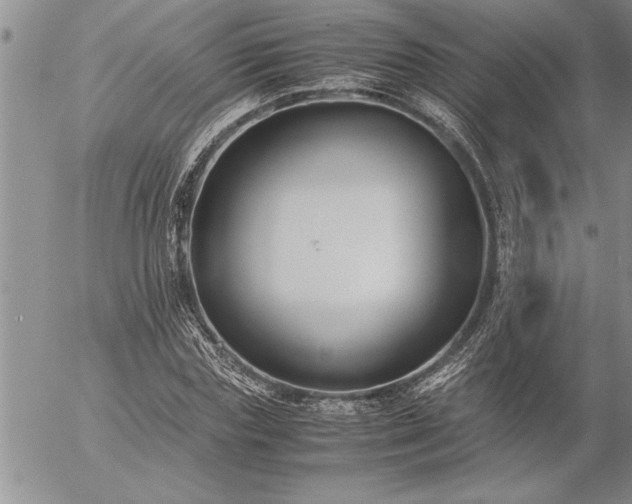 X0000057060827200509091155