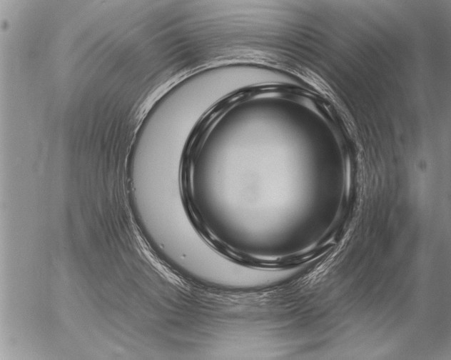X0000057060842200509091155