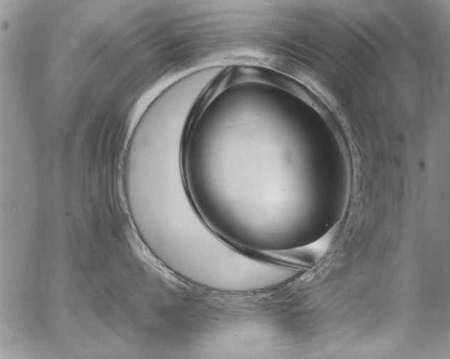 X0000057060960200509091154