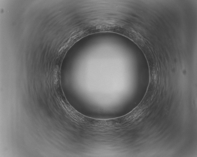 X0000057061012200509091151