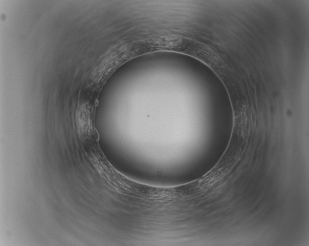 X0000057061058200509091151