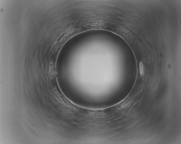 X0000057061107200509091150