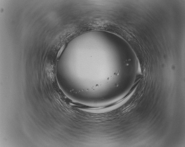 X0000057061156200509091150