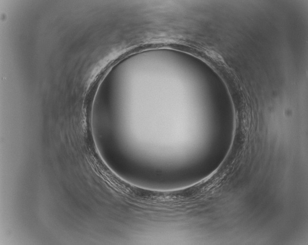 X0000057061167200509091149