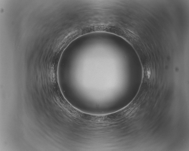 X0000057061252200509091148