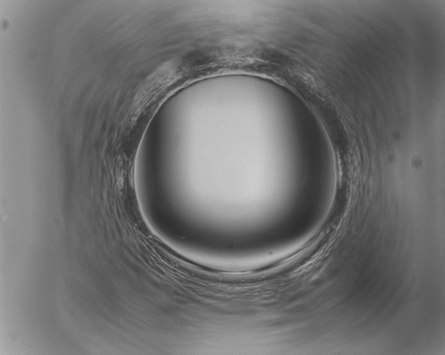 X0000057061257200509091148
