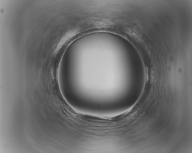 X0000057061261200509091148