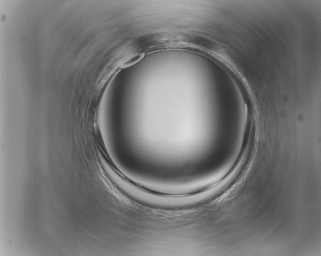X0000057061289200509091147