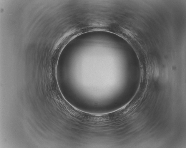 X0000057061307200509091147