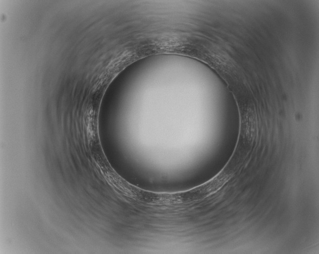 X0000057061346200509091146