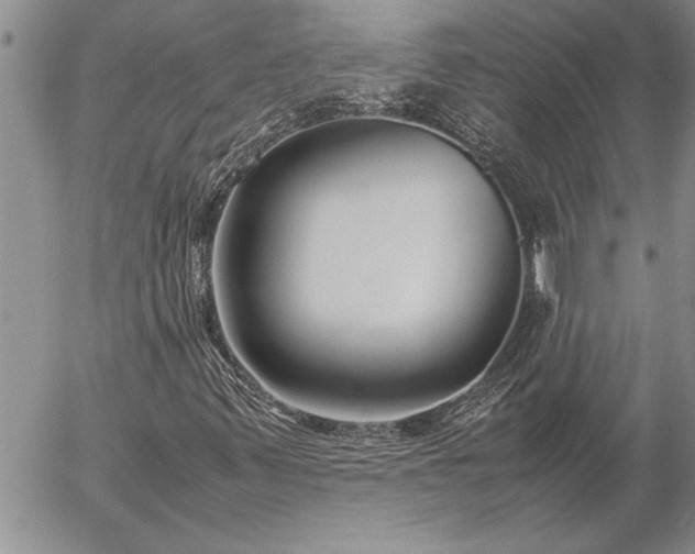 X0000057061347200509091146