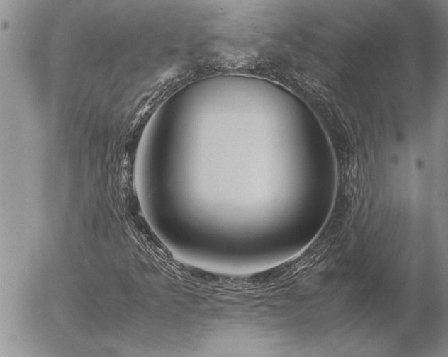 X0000057061349200509091146