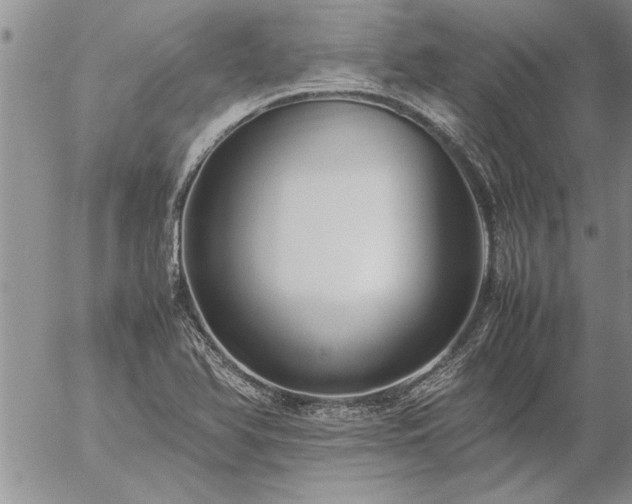 X0000057061366200509091146