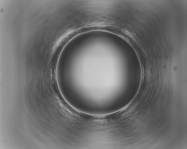 X0000057061406200509091145