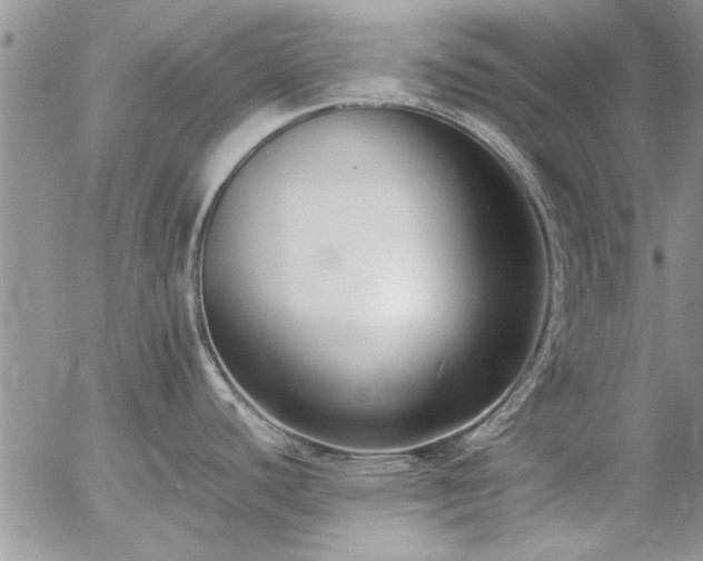 X0000057061440200509091146