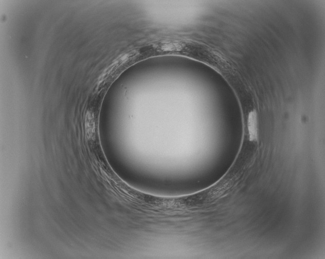 X0000057061443200509091145