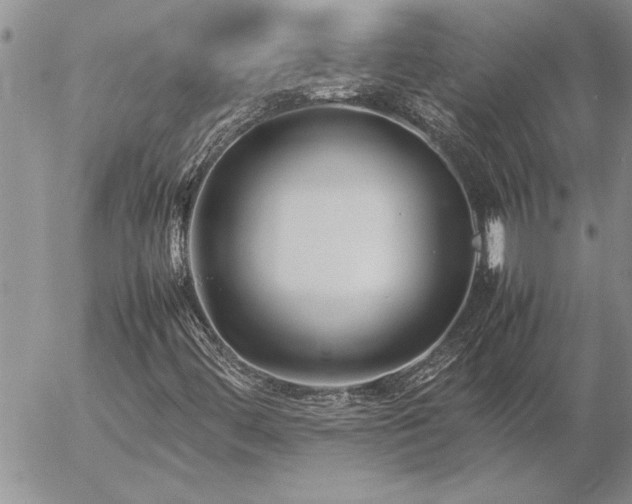 X0000057061444200509091145