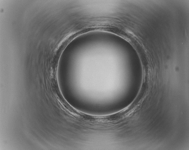 X0000057061449200509091145