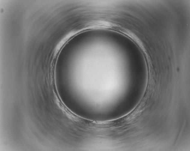 X0000057061488200509091144