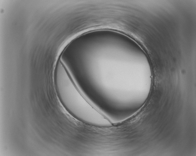 X0000057061516200509091144