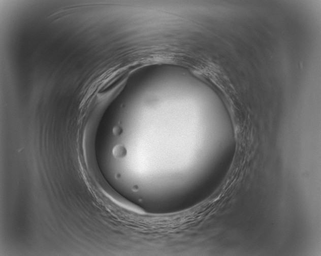 X0000057060001200509120900