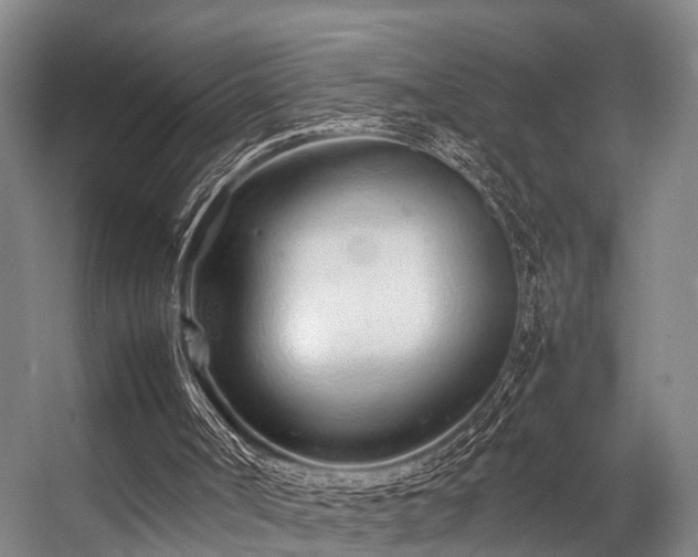 X0000057060002200509120900