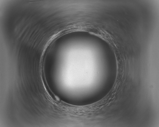 X0000057060003200509120900