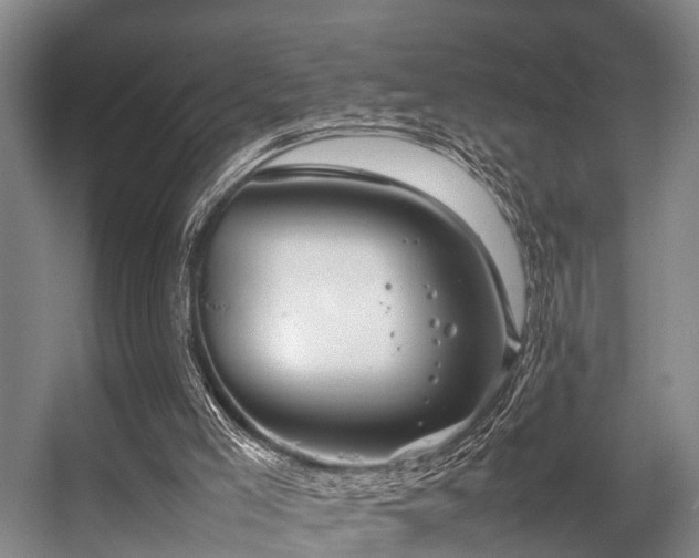 X0000057060005200509120900