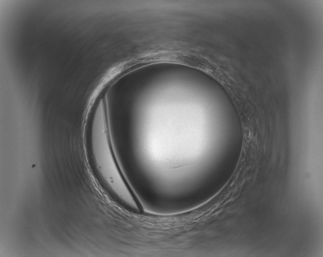 X0000057060006200509120900