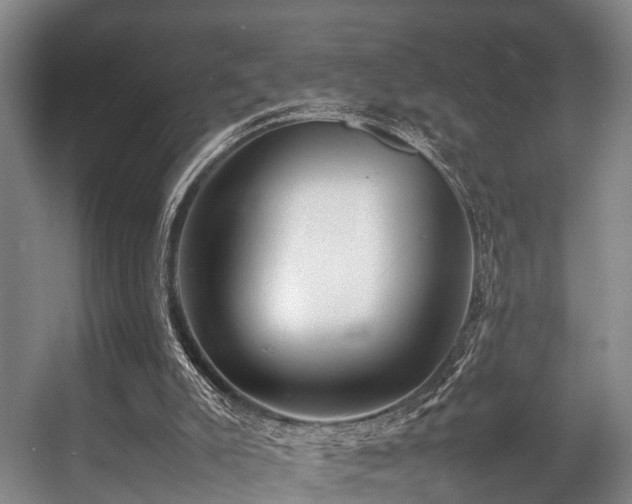 X0000057060007200509120900