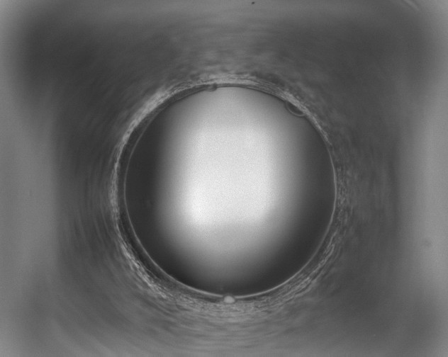 X0000057060008200509120900