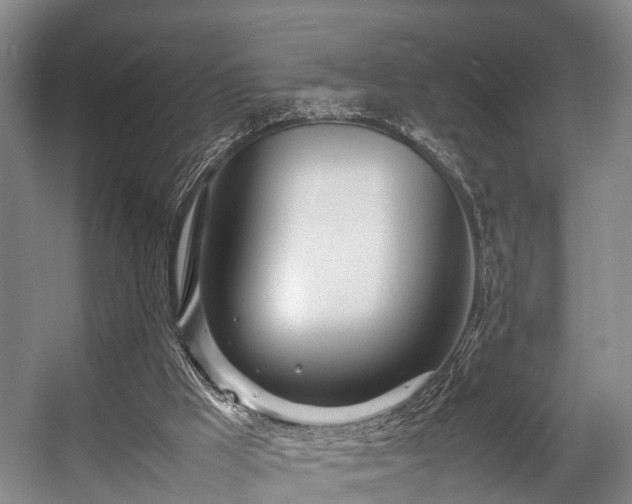 X0000057060009200509120900