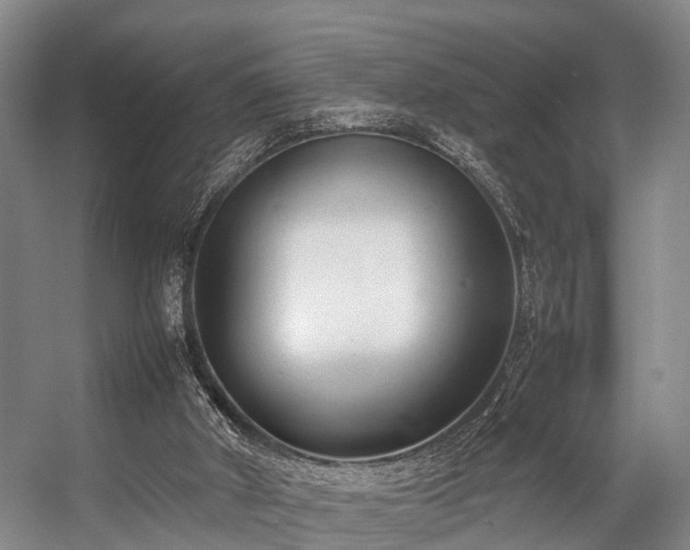 X0000057060010200509120900