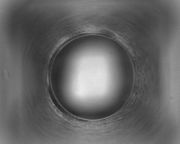 X0000057060011200509120900