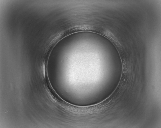 X0000057060014200509120900