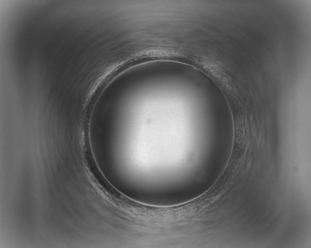 X0000057060015200509120900